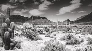 desert_background